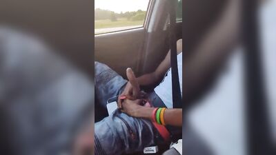 very friendly hitchhiker