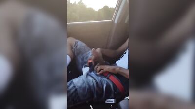 very friendly hitchhiker