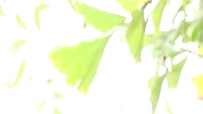 Three Way Bareback By The Pool