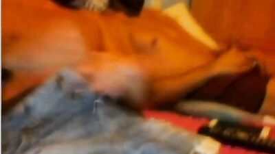 Hot Gay Porn Video - Big Cocks Straight Boys Web-Cam