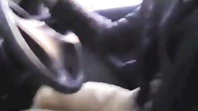 Back Seat Bare Boys: Hottest Cum Shots in Action!