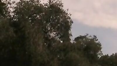 Dicks of Hazard - A Gay Porn Journey Into the Heart of Desire.