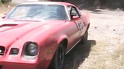 Dicks of Hazard - A Gay Porn Journey Into the Heart of Desire.