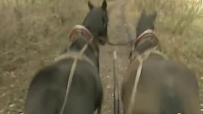 Le Prince de la Volga : A Gay Porn Adventure