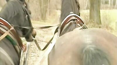 Le Prince de la Volga : A Gay Porn Adventure