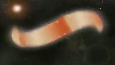 The Melt Down: Action Cum Shots Vintage Gay Porn Video