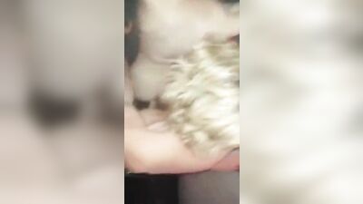 I think he likes it ...