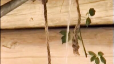 Haystack Hottie: Hot Solo Action in the Fields