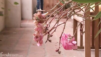 Nino & Nates Bareback Cumshot Delight - Action Gay Porn Video!