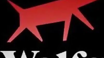 Movie - Freier Fall (1)