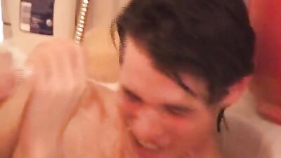 The English Bareback Student Cocks Collection