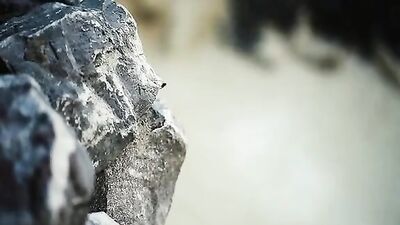 Scouts in Action: Bareback Gangbang