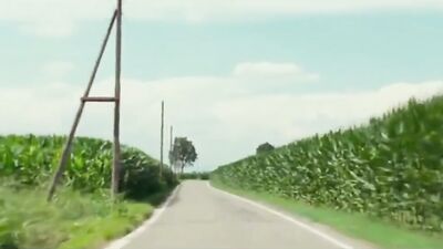 Summertime Heat: Gay Porn Scene with Hunky Men and Hot Action