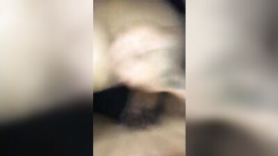 Horse Cock: The Ultimate Straight Mens Gay Porn Experience