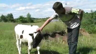 Gay Tube - Barnyard Cowboys Gay Teen Porn Adventure: The Hottest Farm Boys in Action!