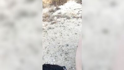 Supreme Dick Sucking! - Big Cocks Cum Shots Interracial Good Guy