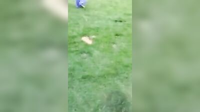 Dive into Gay Porn Bliss with Straight Boys and Hot Fun!