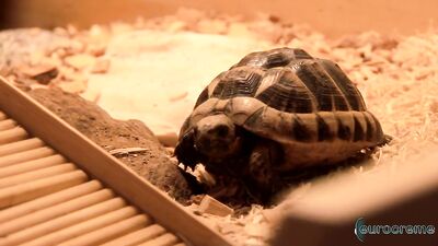 Leo Marco and Lyle Boyce 2