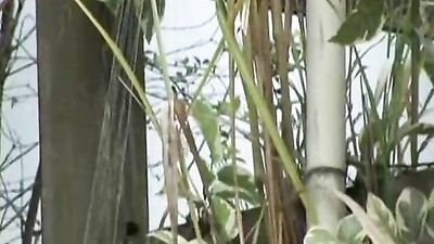 Forbidden Woods Passion: Exploring Gay Desires in the Wild