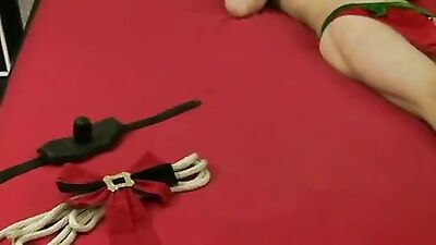 Santa's little helper