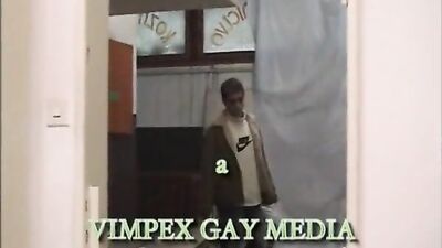 Bareback Bugs: Raw Passions in Old-School Gay Porn