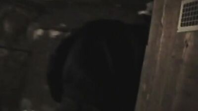 Patxi1933: Gay Teens Cellar Fucking - Public Outside