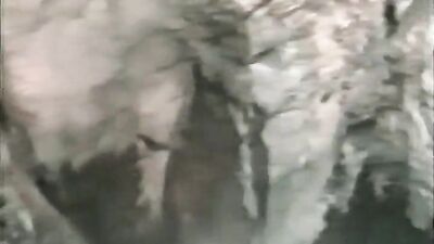 Latino Twinks Sucking By The Lake Side!