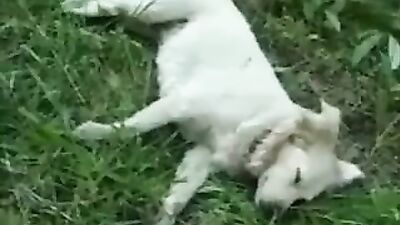 Sexy Twinks Hot Outdoor Fun: A XXX Adventure!