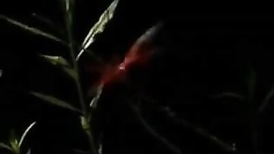 Sexy Twinks Hot Outdoor Fun: A XXX Adventure!