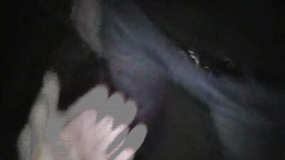 Homosexual Activity in the Basement