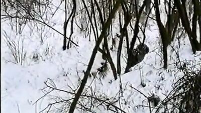 Two Vintage Twinks: An Old-School Gay Porn Adventure!