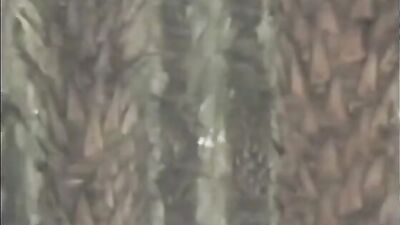 Brian555 Gay teens xxx - Exploring Desires | Gay Porn Videos