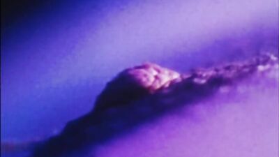 Pink Narcissus: A Gay Erotic Fantasy