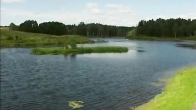 Twink Bareback Summer Camp: Jeremys First Gay Experience