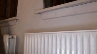 Gay Daddys Boy Toys: Exposed - An All-Out Abercrombie Orgy!