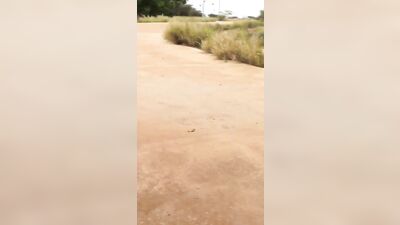 Under the Bridge: Oral Pleasure in Public! [Gay Porn]