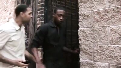 De Biman Hotboys 211: The Ultimate Gay Porn Video Collection!