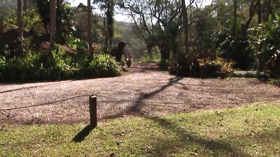 Mikes Video 2756: BigSucu Outdoor Boys Fuck Cum - Gay Porn Oral Sex and Blowjobs