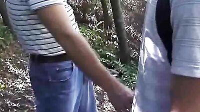 Gay Tube, Dads Public Park Fuck - Hardcore Porn Action!