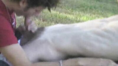 Bad Puppy-GayTube: Unleashed Passion - A Gay Porn Adventure!