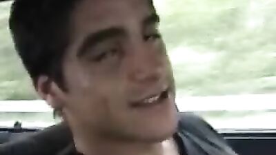 Gay Porn Tube- The Bait Bus: A Steamy Ride to Gaydom