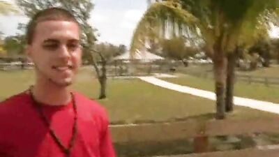 Gay Bait Bus: The Ultimate Porn Experience!