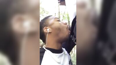 Horny Meeting in the Park: Black Cocks Oral Delight