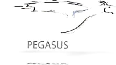 Perfect Damian Handjob Stretch: The Ultimate Gay Porn Experience