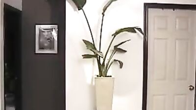 Jeremys Vintage Action - Part 6: The Ultimate Gay Porn Video Experience!