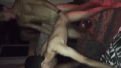 Gangbang Boys: Raw and Uncut - A Bareback Party!