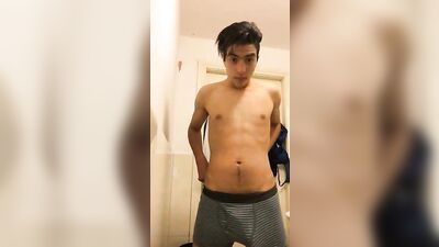 Latin Stallions: The Aftermath