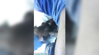 Blowjob Car Oral Voyeur: Quick & Furious!