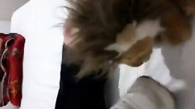 Slick Action: The Ultimate Gay Porn Video Experience