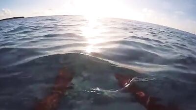 Nager XXX - A Gay Porn Video With Raw Passion and Unbridled Desire